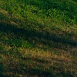 grounding earthing
