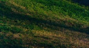 grounding earthing