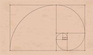 ¿Por qué fascina tanto la proporción áurea? proporcion aurea