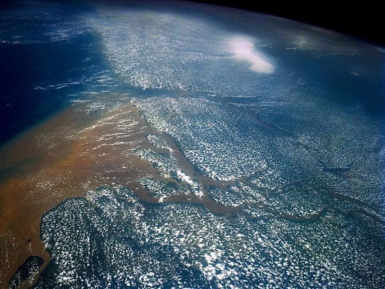rio amazonas por satelite